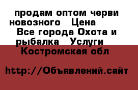 продам оптом черви новозного › Цена ­ 600 - Все города Охота и рыбалка » Услуги   . Костромская обл.